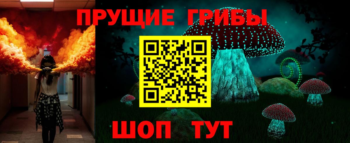 Псилоцибиновые грибы GOLDEN TEACHER  Псилоцибиновые грибы Magic Shrooms  Вход с VPN  Кимры 